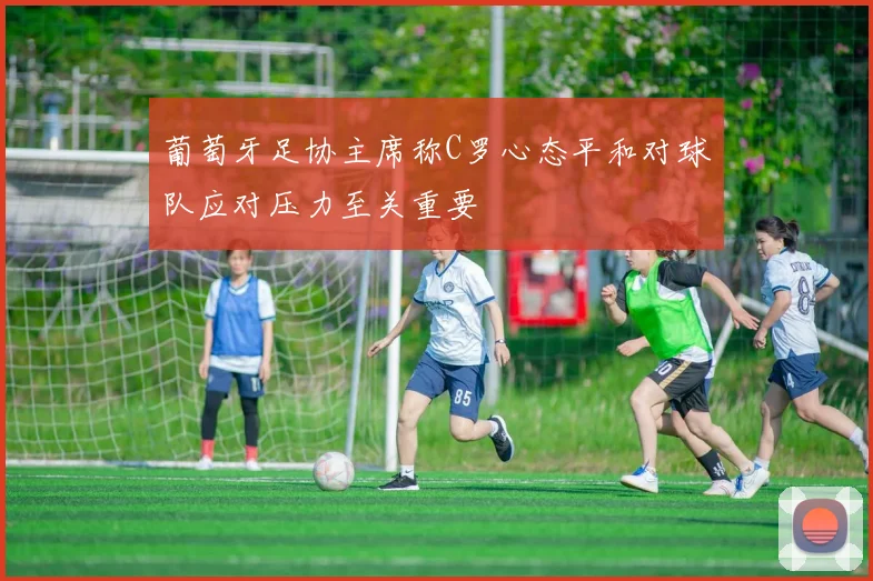 葡萄牙足协主席称C罗心态平和对球队应对压力至关重要