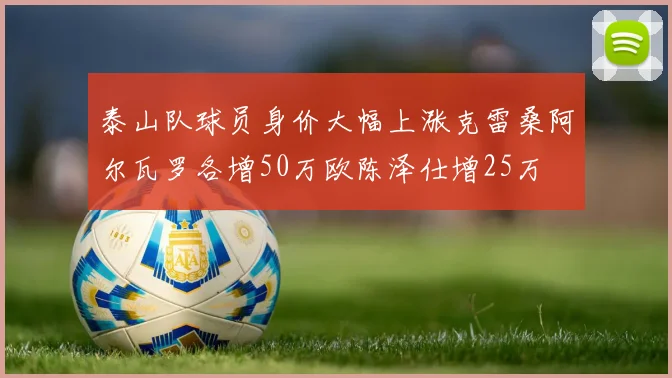 泰山队球员身价大幅上涨克雷桑阿尔瓦罗各增50万欧陈泽仕增25万