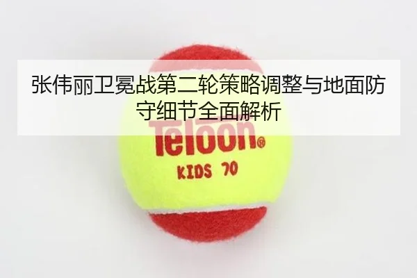 张伟丽卫冕战第二轮策略调整与地面防守细节全面解析